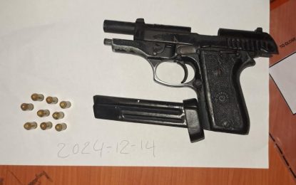 Security guard arrested after nabbed with illegal gun, ammo