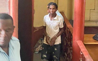 “I was under the influence of alcohol and I robbed the man” – teen tells Court