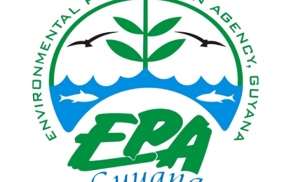 EPA waives environmental study for construction, installation of transmission lines and substations for gas plant