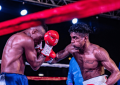 Dharry’s Pre-World Title Fight Promises to be Best Boxing Event of 2024