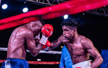 Dharry’s Pre-World Title Fight Promises to be Best Boxing Event of 2024