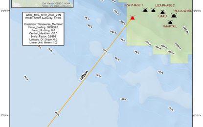 Citizens file Court action against Exxon’s 7th oil project