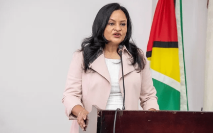 33% reduction in domestic murders recorded – Min. Persaud