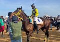 Stormy Victory, Morning Colors stepping up for Simply Royal stables