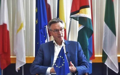 Rapid growth requires strong institutions to manage transformation – EU Ambassador