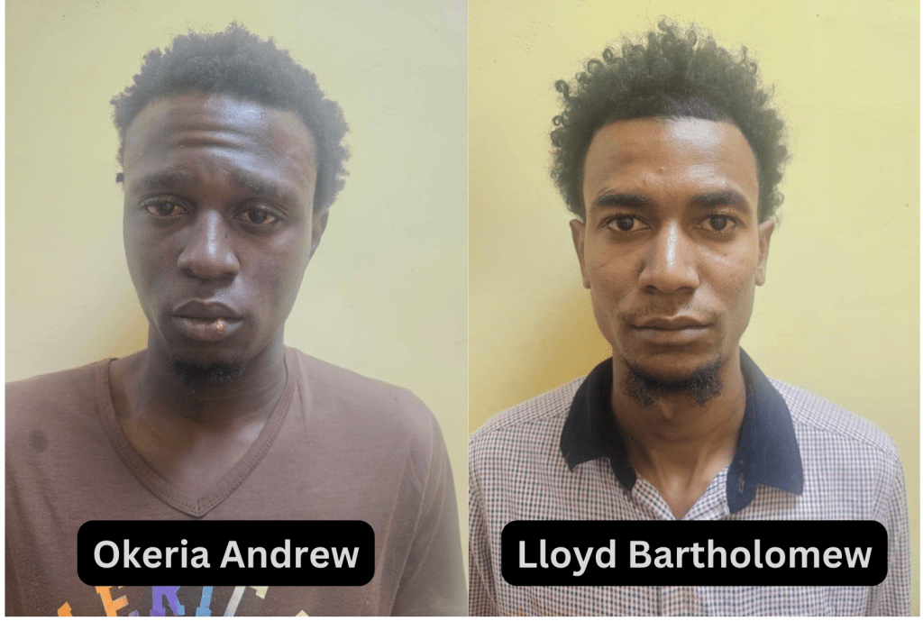 Duo jailed for break and enter and larceny