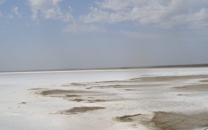 FAO launches first major global assessment of salt-affected soils in 50 years