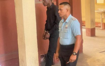 ‘Soup man’ remanded for allegedly robbing woman of $3.4M in valuables