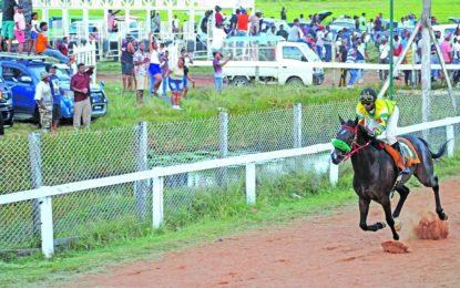 Bossalina wins feature event at Rising Sun Turf Club New Year’s meet