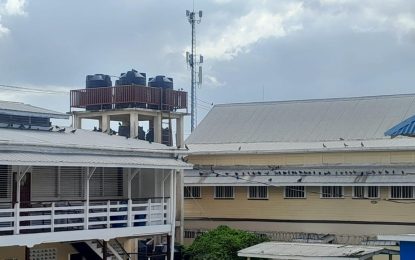 Pigeons shut down Charlestown Secondary School