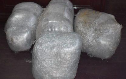 Police find 113 lbs of weed in unfinished building at Mahaicony