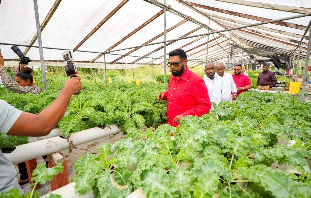 Pres. Ali visits hydroponics farm at Friendship