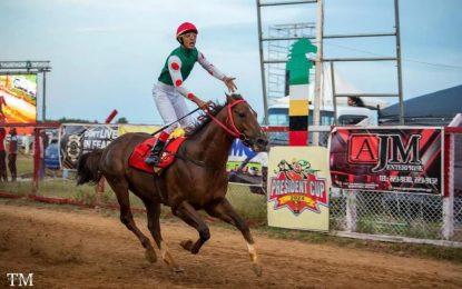 Olympic Kremlin crowned Horse-of-the-Year at One Guyana Thoroughbred Racing Awards