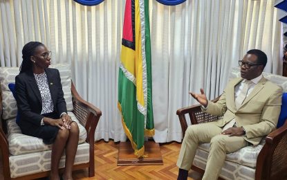 Guyana and Suriname discuss convening of Border Commission