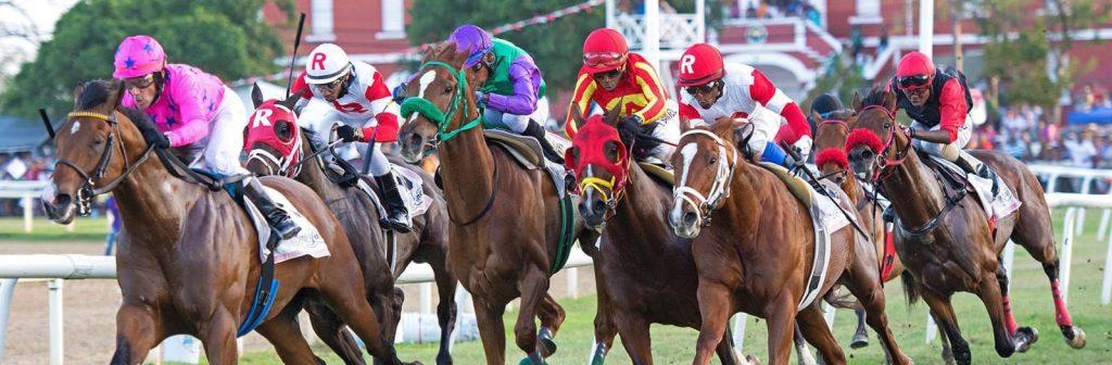 The Battle for Barbados: One Guyana Racing Stable faces off against top U.S. Trainers for Gold Cup supremacy