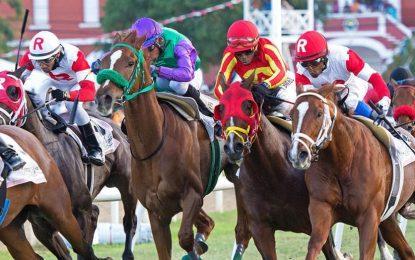 The Battle for Barbados: One Guyana Racing Stable faces off against top U.S. Trainers for Gold Cup supremacy