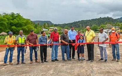 Recently rehabilitated Paruima Airstrip closed for repairs – Min. Edghill