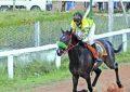 Top notch entries for feature event as more sponsors hop on board Kennard Memorial Phagwah Horserace meet on Sunday