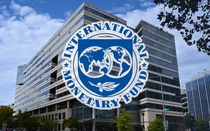 IMF urges timely publication of audit reports