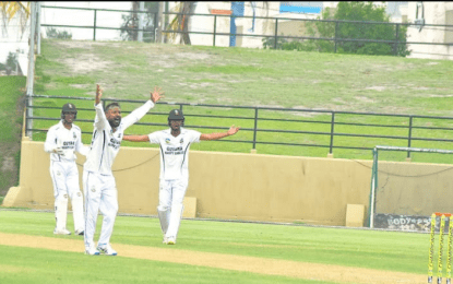 Spinners give Harpy Eagles control, despite Solozano gritty fifty