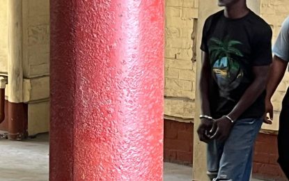 Vagrant sentenced to two years for simple larceny