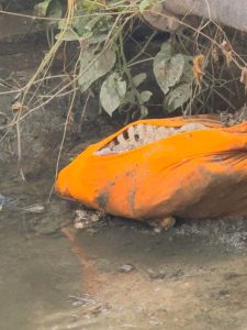 Skeletal remains of missing man found in Zeelugt trench
