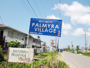 $1.3B in contracts awarded to construct new Palmyra Cultural Market