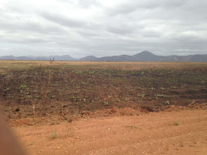 El Niño raises growing health risks across the Americas