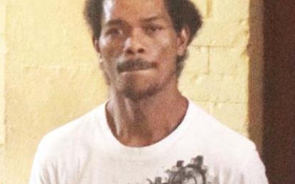 Soesdyke man jailed for ganja in haversack