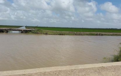 NDIA handled $12B in four years; but had only one internal auditor