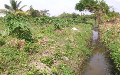 Forensic audit recommends…CDC’s be absorbed by NDIA to cut unnecessary costs