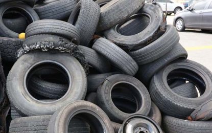 McDoom residents complain of mosquito infestation