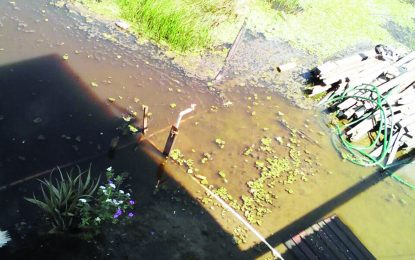 Flooding has Trafalgar residents seeing red