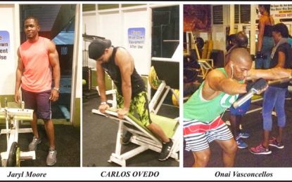 Which Hot Body will prevail at the Fitness Paradise Gym Expo?
