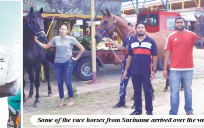 Guyana Cup 2016 stakes raised to  gigantic $30M, one more event added
