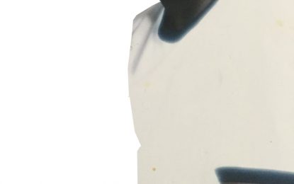 Two burnt bodies, one missing husband