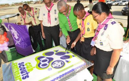 Scouting builds character, promotes respect