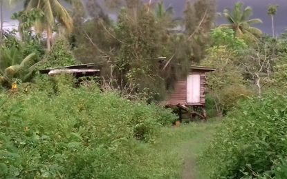 Cops detain stepfather in alleged rape of three children