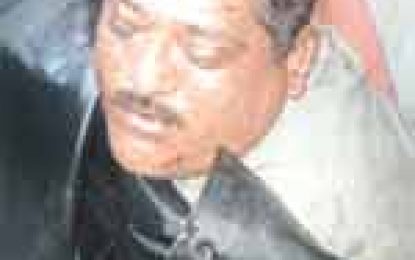 Deadly ‘killer bee’ attacks in Guyana