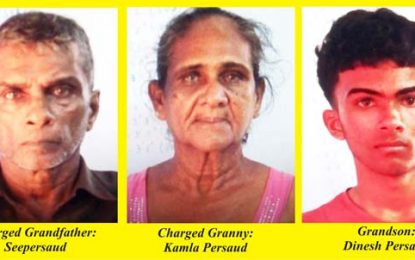 Elderly couple charged with assaulting cops during grandson’s arrest