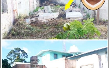 Man’s body found under collapsed brick wall