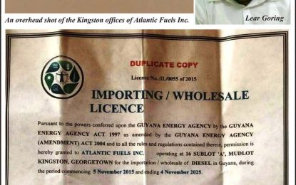 Fuel licences to GWI boss, partners were granted in five weeks – says GEA