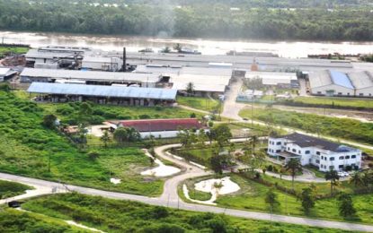 New Barama forest deal for Cabinet consideration before month-end