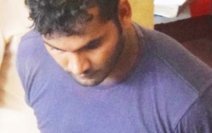 Man in court for alleging giving police unlicensed gun