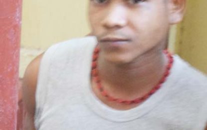 Goldminer fined for biting spouse on lip