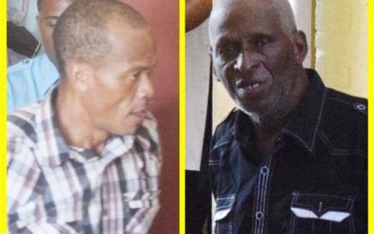 Duo remanded on gun charge