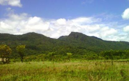 The Pakaraima mountain monster