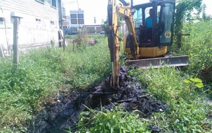 Meadow Bank residents laud construction service