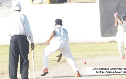 National Secondary Schools cricket…