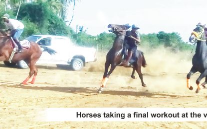 All set for Nand Persaud Sprint  Mega Classic Horserace meet